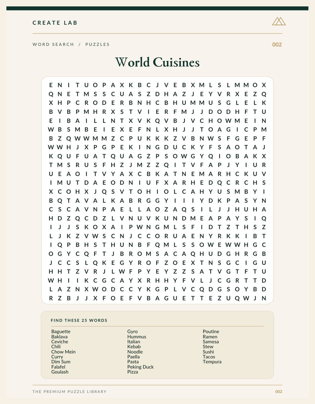 Actual word search puzzle worksheet included in the downloadable PDF